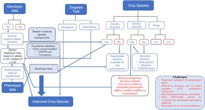 Haplotype breeding for unlocking and utilizing plant genomics data